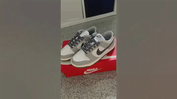 Nike Dunk Low Light Smoke Grey (W) 🐘