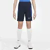 Подростковые шорты Nike Dri-FIT Short