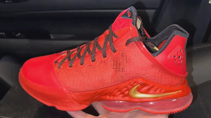 Nike LeBron 19 Low Light Crimson Red Basketball Shoes